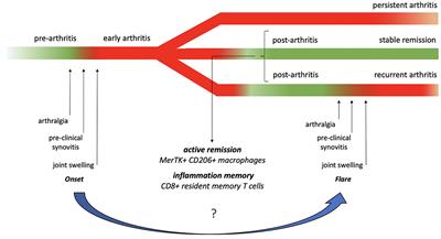 Insights Into the Concept of Rheumatoid Arthritis Flare